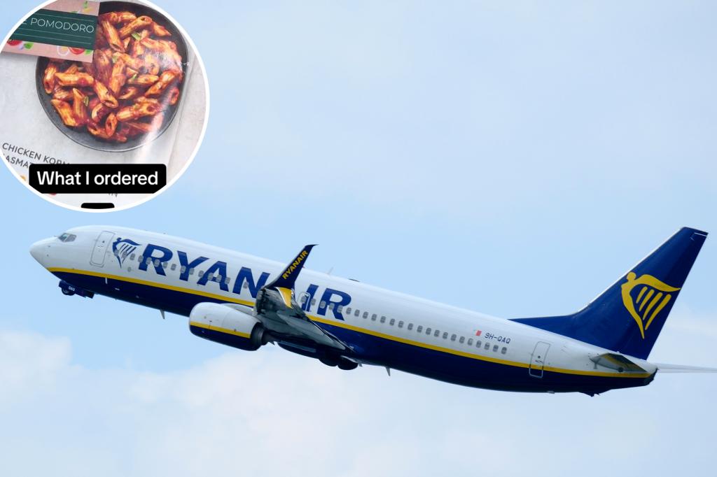 Flight passenger horrified by 'unappetizing' vegan in-flight meal: 'Worse than it looked'